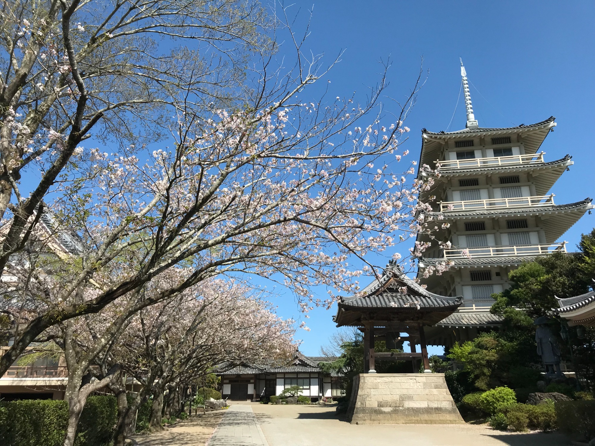 写真：お寺